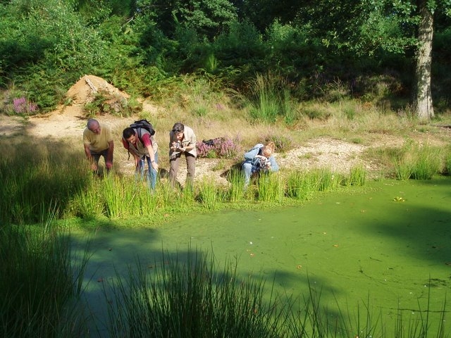 2007 08 Bois de Rochefort 30